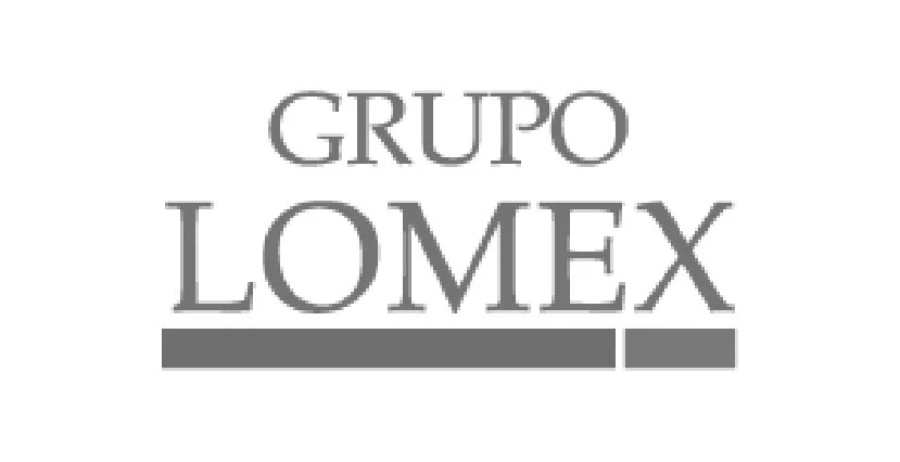 Grupo Lomex